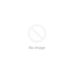 Business-focused full-range paradigm